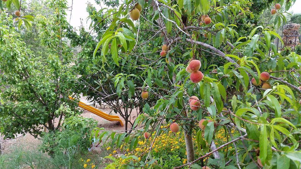 Masseria Ruri Pulcra Patu Bagian luar foto